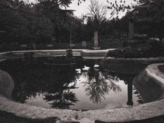 Karanlık Edebiyat, Birileri Var